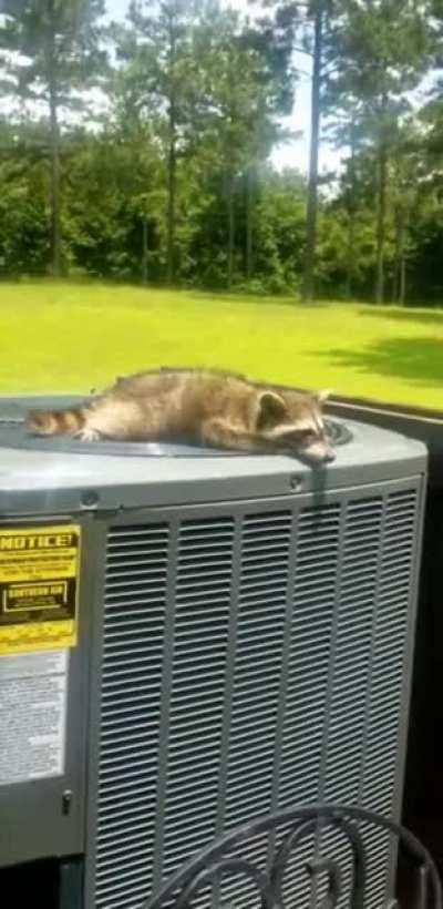 Just a hot boi cooling off
