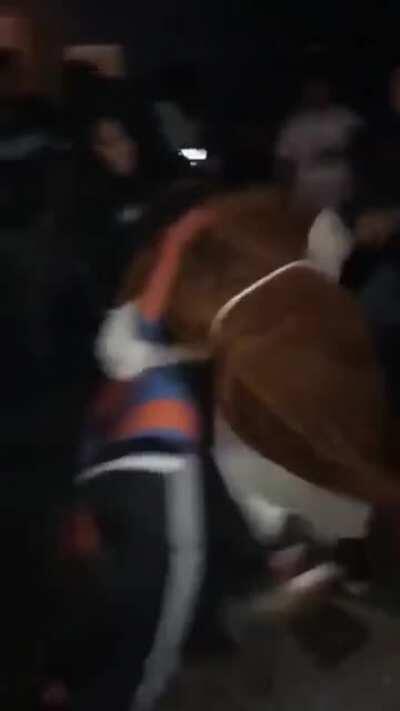 Live action da bíblia anunciado