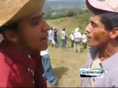 My neighbour's dogs at 3 AM