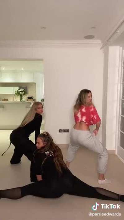 Perrie Twerking