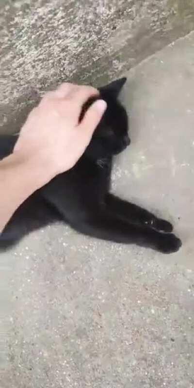 Two different worlds.