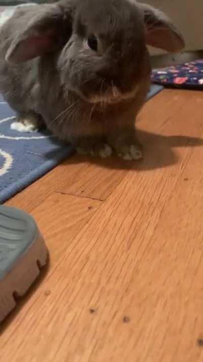 Gary: that raspberry had some zing!