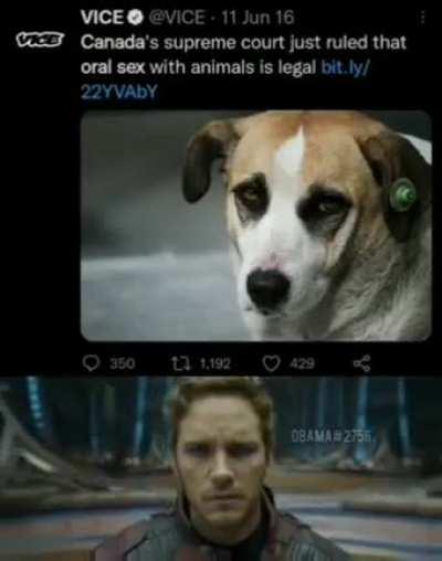 I really hope soup doesn't move to Canada 