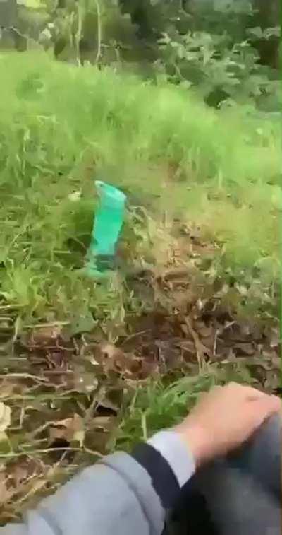 Arab Blowjob Hijab Muslim Pakistani Porn GIF by smingers