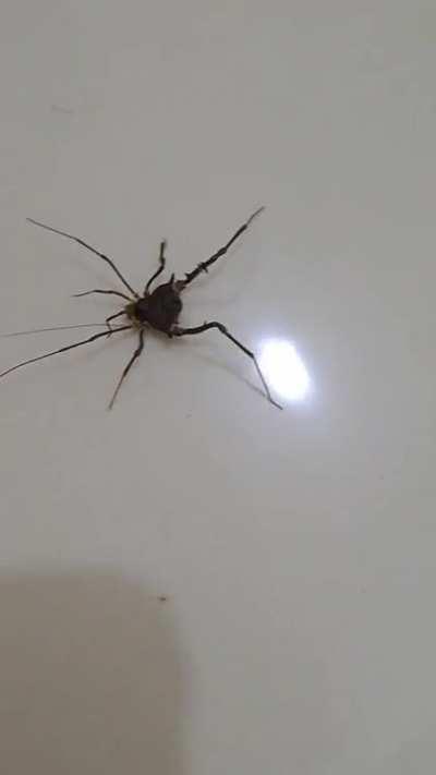 Have a terrible day! :D