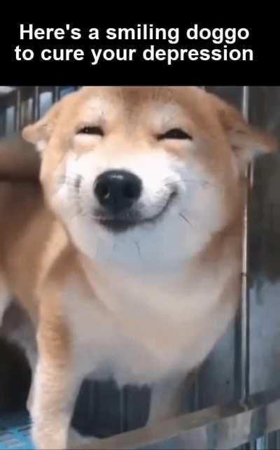 Look how happy he is !