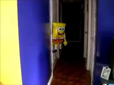 Bob esponja? 😰