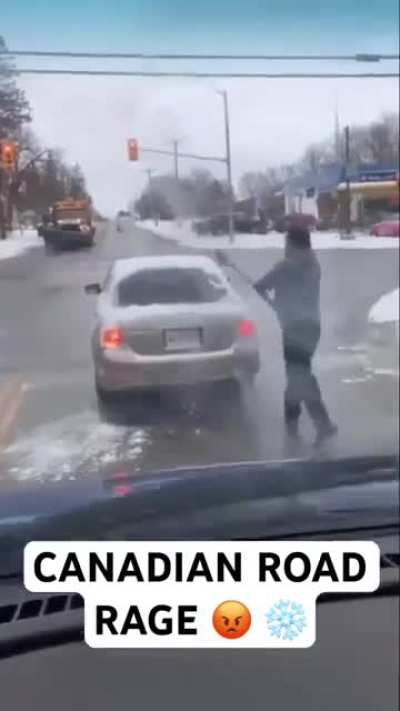 Canadian Road Rage 😡 ❄️ 