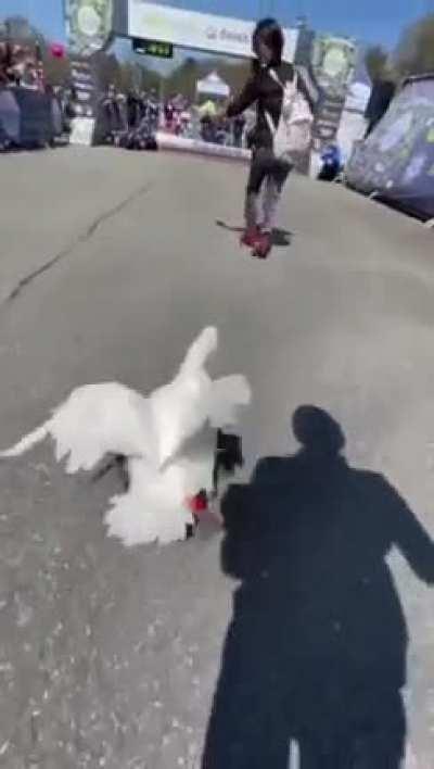 Duck runs in a marathon and gets a medal