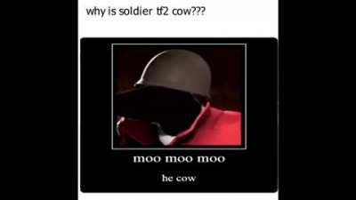 Moo
