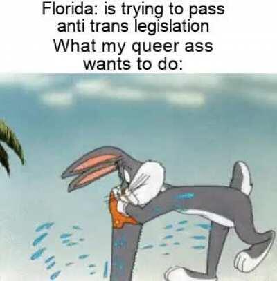 Hippity hoppity it's all beach front property