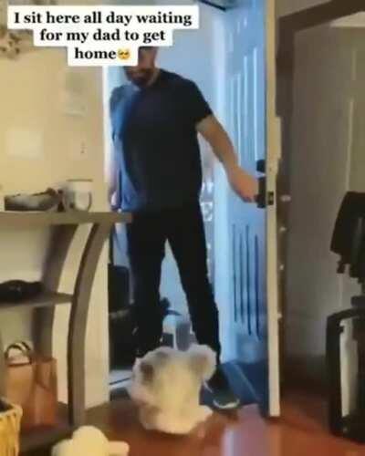 Look at that wiggle butt