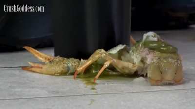 marina crawdad crush