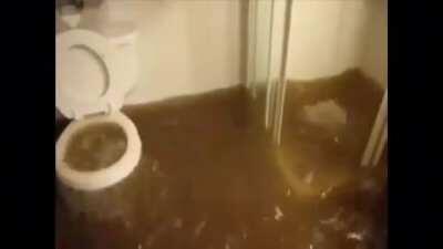 I gave my rentoid a jacuzzi. Now he has a luxurious apartment so I should increase his rent to 6K a month.