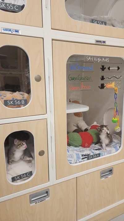 It's quite simply CHAOS until this group is fed