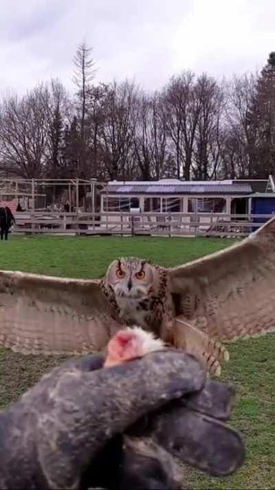 Awesome. Can't say anything else