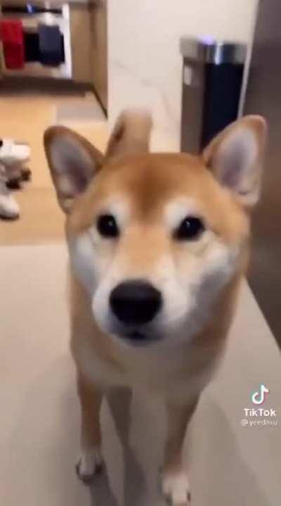 NANIKPosting - Video #8083