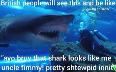 This... this is the funniest video I’ve seen in a while, Epic British moment