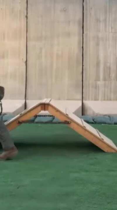 Best transition ever