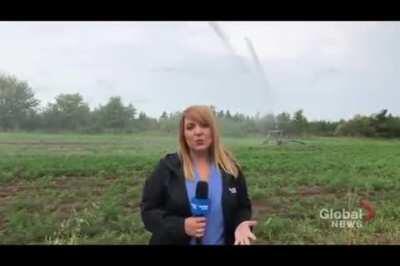 Reporting news close to the Sprinklers