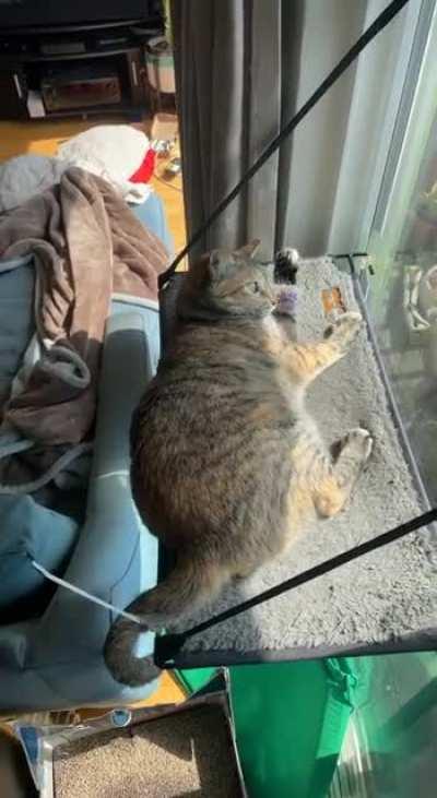 I'm glad I stuffed the green pad back there