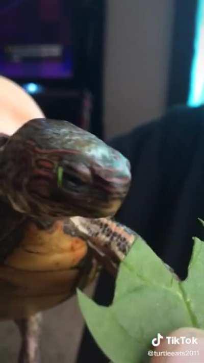 Cute and hungry little fellow.