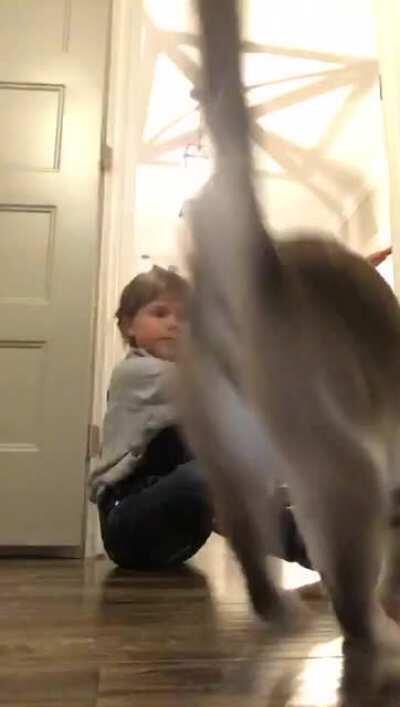 My daughter has a way with animals; she’s taught Charlie to jump.