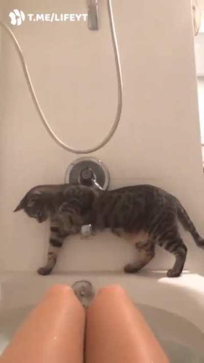 Это фиаско, братан.