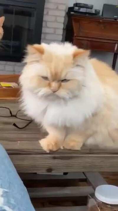 He knows what he wants