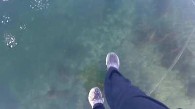 🔥Ice freezes crystal clear on Munising Bay