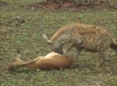 fake it till you make it