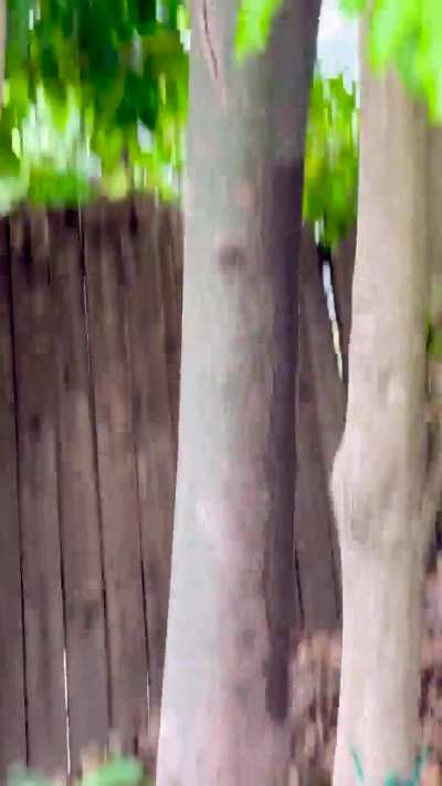 Who’s the male / female