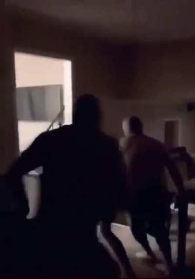 Wait….. lights and blanket both on, shouldn’t that stop them?