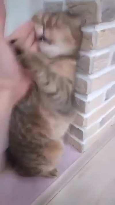 Everybody was kung-fu fighting.