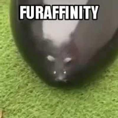 fRULEaffinity