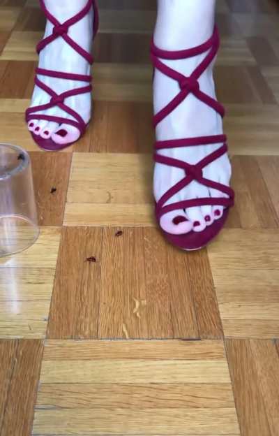 My gf favorite bugs to crush / bundle of 200 clips for sale