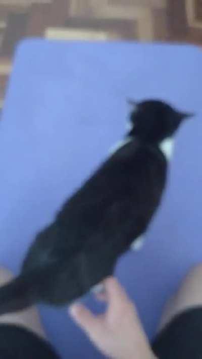 And that's why I can't exercise at home