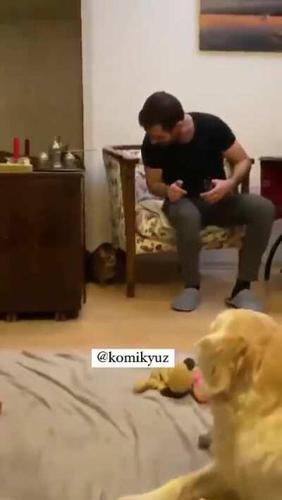 How about startled by Cat?