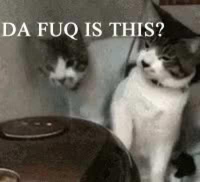 The original youseeingthisshit