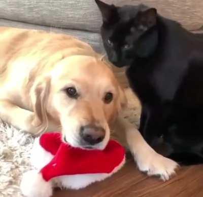 When you’re not in the mood for kisses.