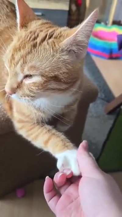 He doesn't care how you touch him. All that matters is that there IS physical contact