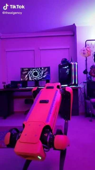 Remember that Boston dynamics dog Michael?