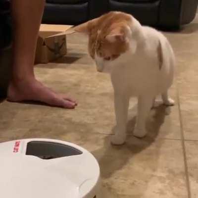 Automatic feeder