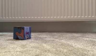 Cruel boxtorre thesis