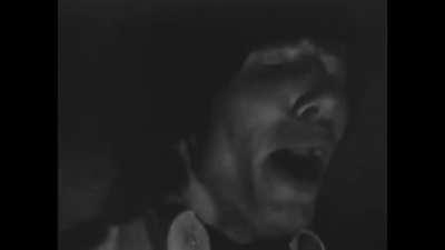 the horse confirming that it is a horse