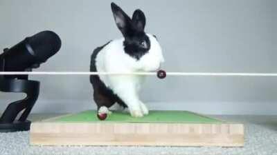 Not mine, but thought I'd share this hilarious goofer!