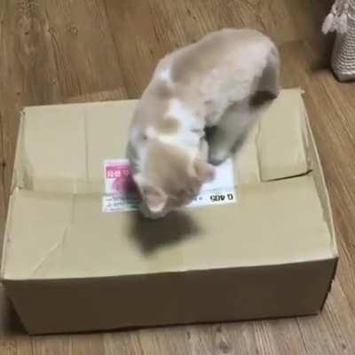 And he was never seen again