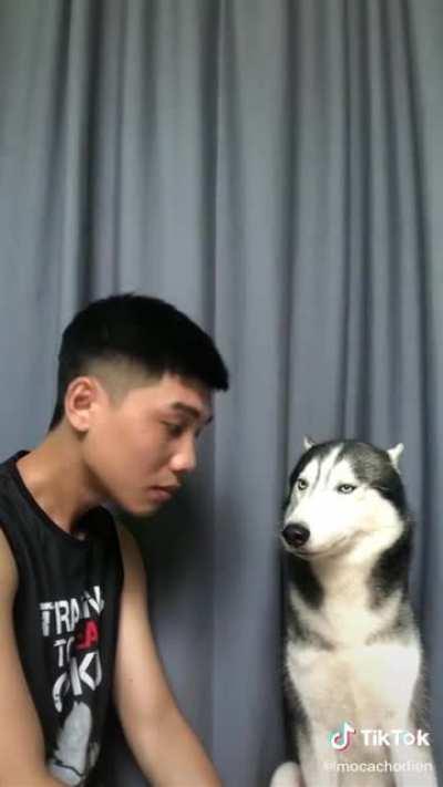 You good bro - dog, probably