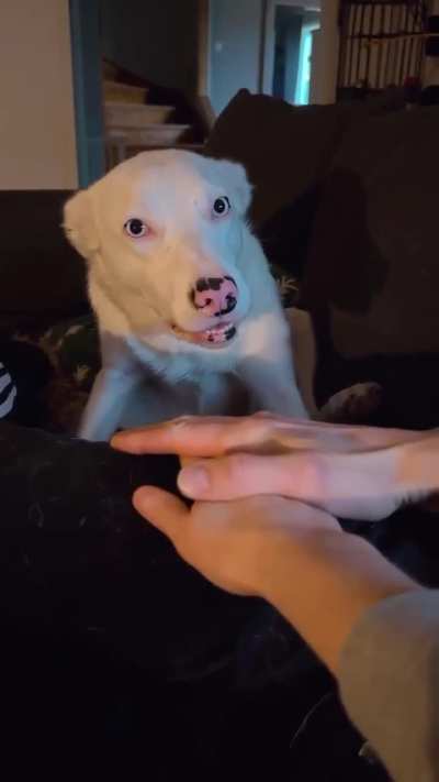 Two Factor Authorization Successful!!