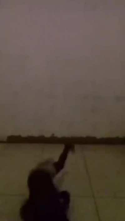 EdgyMemestwo - Video #1873